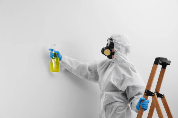 Best Environmental Consulting for Mold Prevention in Brookings, OR